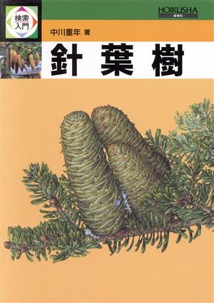 針葉樹 検索入門