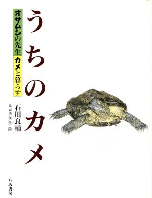 うちのカメ オサムシの先生カメと暮らす 新品本・書籍 | ブックオフ