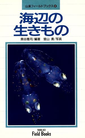 海辺の生きもの 山渓フィールドブックス8