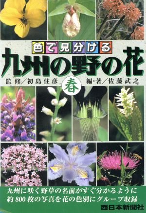 色で見分ける九州の野の花(春) 色で見分ける