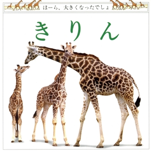 きりん 児童図書館・絵本の部屋ほーら、大きくなったでしょ