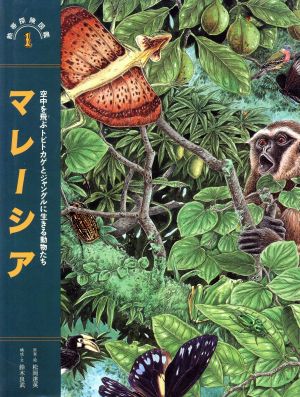 マレーシア 空中を飛ぶトビトカゲとジャングルに生きる動物たち熱帯探険図鑑1