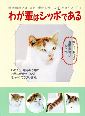 わが輩はシッポである 湘南動物プロ スター動物シリーズ1ネコPART1