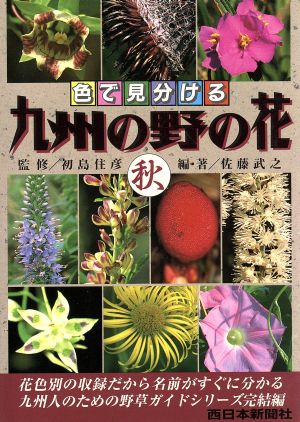 色で見分ける九州の野の花(秋) 色で見分ける 中古本・書籍 | ブックオフ公式オンラインストア