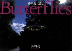 蝶の飛ぶ風景 Butterflies