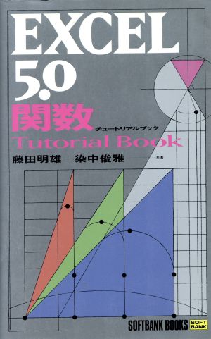 EXCEL5.0関数チュートリアルブックSoftbank books
