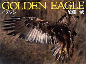 写真集 Golden Eagleイヌワシ