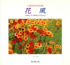 川端初音写真集 花風 多摩川丸子橋あたり Part2 Bee Books181