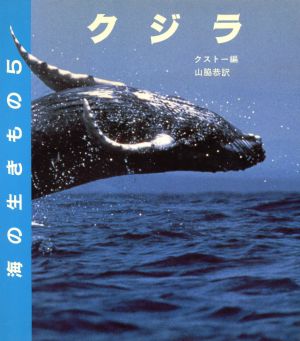 クジラ海の生きもの5