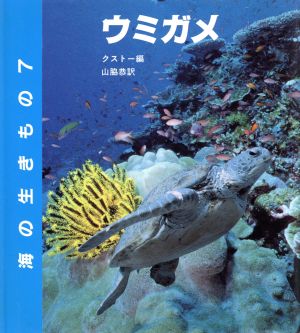 ウミガメ 海の生きもの7