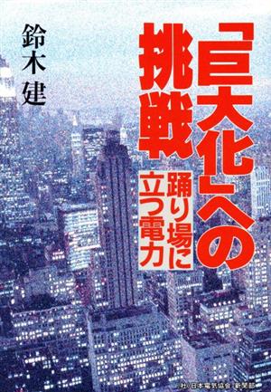 「巨大化」への挑戦 踊り場に立つ電力