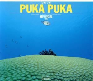 Puka Puka