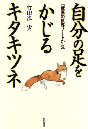 自分の足をかじるキタキツネ 獣医の原野ノートから