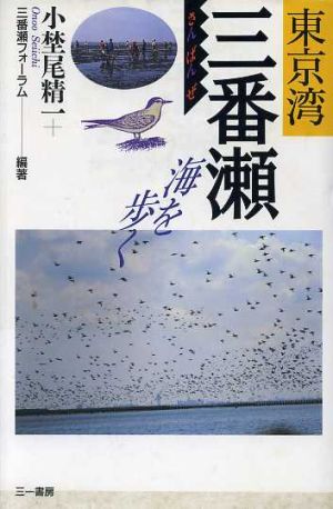 東京湾三番瀬 海を歩く