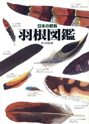 日本の野鳥 羽根図鑑 日本の野鳥