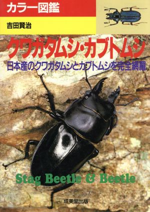 クワガタムシ・カブトムシ([1996]) 日本産のクワガタムシとカブトムシを完全網羅 カラー図鑑シリーズ