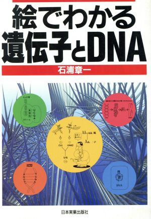 絵でわかる遺伝子とDNA