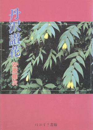 丹沢讃花