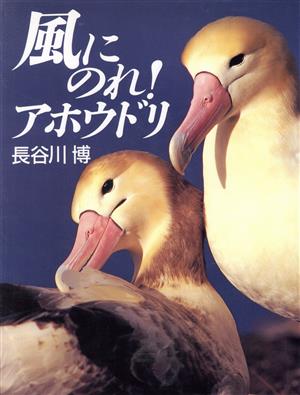 風にのれ！アホウドリ