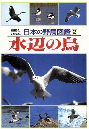 水辺の鳥(2)水辺の鳥名前といわれ 日本の野鳥図鑑2