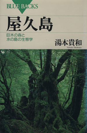 屋久島 巨木の森と水の島の生態学 ブルーバックス