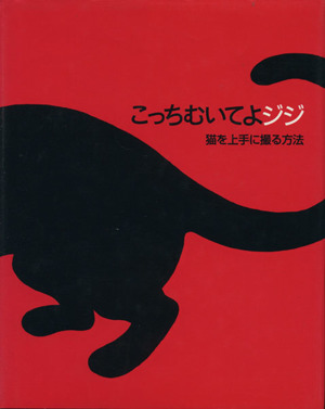 こっちむいてよジジ 猫を上手に撮る方法