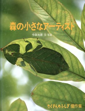 森の小さなアーティスト たくさんのふしぎ傑作集