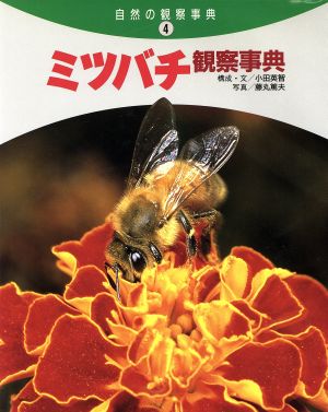 ミツバチ観察事典自然の観察事典4