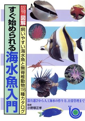 すぐ始められる海水魚入門 飼いやすい海水魚と無脊椎動物116種カタログ ひと目でわかる！図解シリーズ