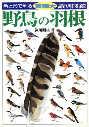 野鳥の羽根 色と形で判る実物大識別図鑑