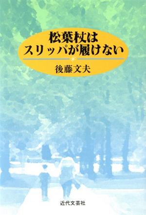 松葉杖はスリッパが履けない