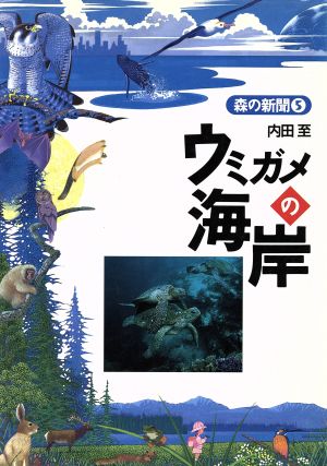 ウミガメの海岸 森の新聞5