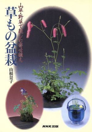 草もの盆栽 山草・野草で親しむ寄せ植え