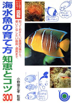 海水魚の育て方 知恵とコツ300 知っておきたい基礎知識から、使いこなしたい器具・道具まで ひと目でわかる！図解シリーズ