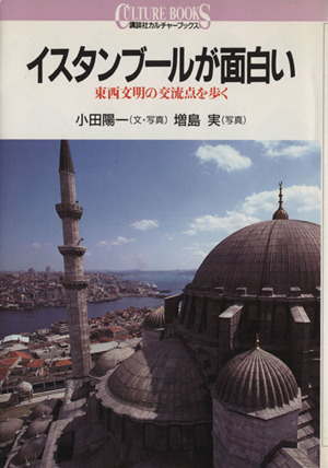 イスタンブールが面白い東西文明の交流点を歩く講談社カルチャーブックス112