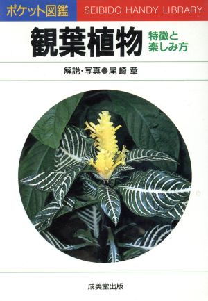 観葉植物 特徴と楽しみ方