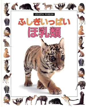 ふしぎいっぱい ほ乳類 AMAZING WORLDS13
