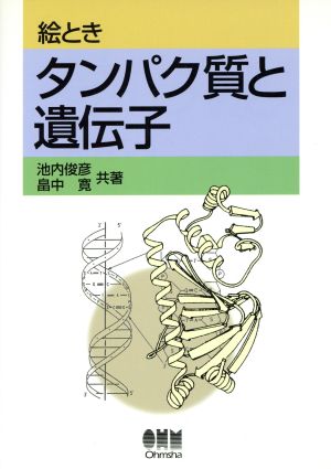 絵ときタンパク質と遺伝子