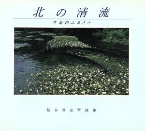 北の清流 生命のふるさと 桜井淳史写真集 フォトルピナス