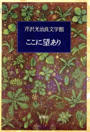 ここに望あり 芹沢光治良文学館4