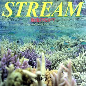 STREAM 海流のなかで