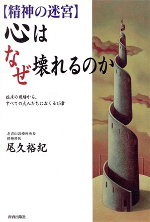 「精神の迷宮」心はなぜ壊れるのか 臨床の現場から、すべての大人たちにおくる15章