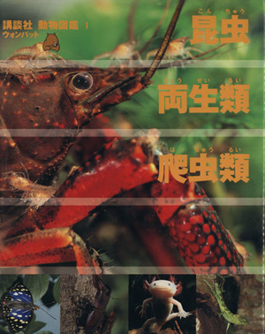 昆虫・両生類・爬虫類講談社 動物図鑑 ウォンバット1