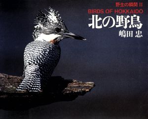 北の野鳥(2) 野生の瞬間 野生の瞬間2