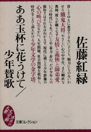 ああ玉杯に花うけて・少年賛歌 大衆文学館文庫コレクション