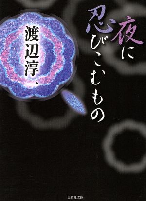 夜に忍びこむもの 集英社文庫