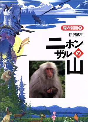 ニホンザルの山 森の新聞7