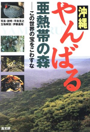 沖縄 やんばる 亜熱帯の森 この世界の宝をこわすな