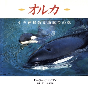 オルカ その神秘的な海獣の幻想