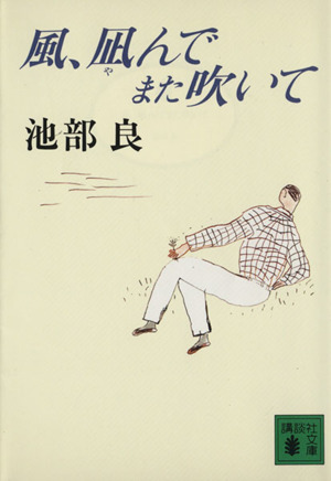 風、凪んでまた吹いて 講談社文庫